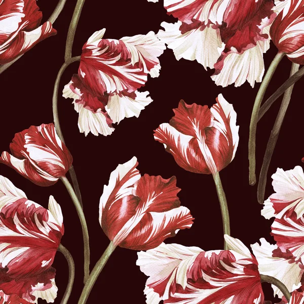 Watercolor tulips floral pattern — Stock Photo, Image