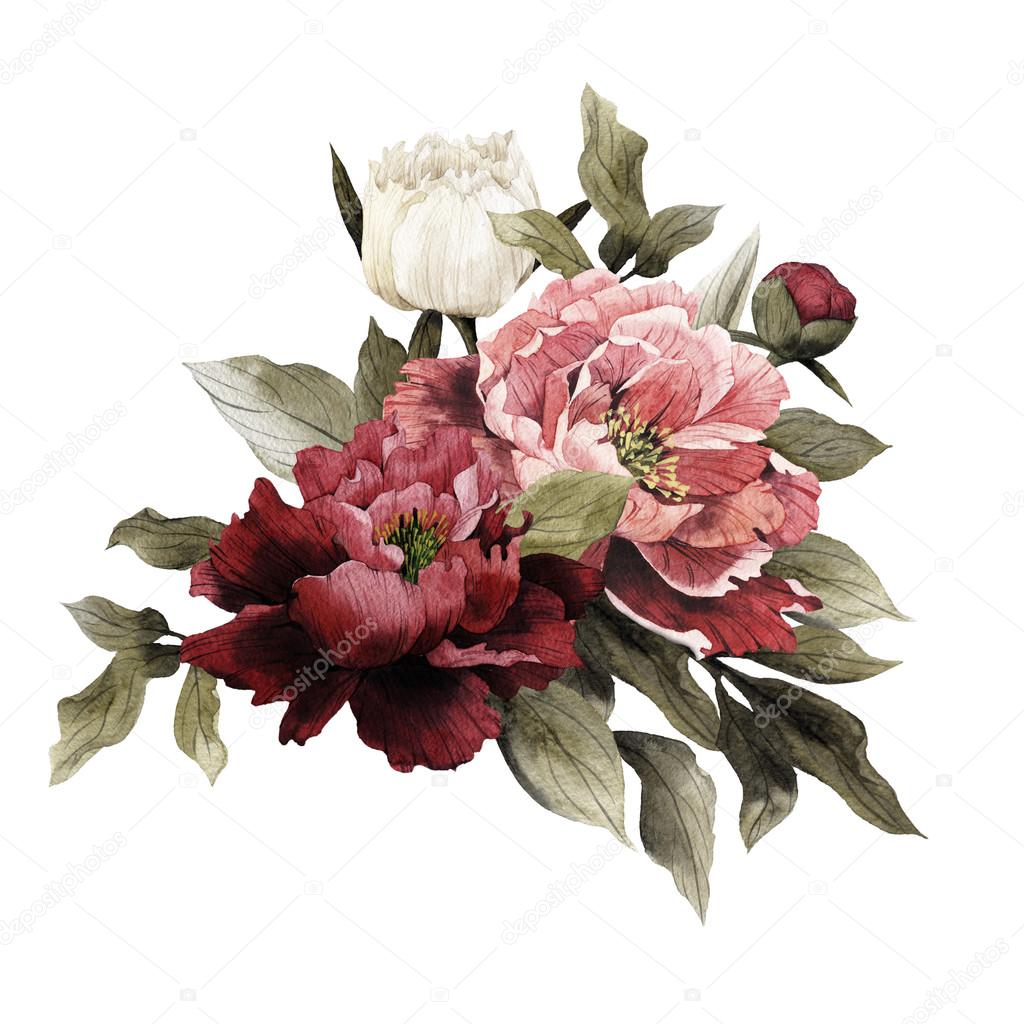 Watercolor Bouquet of peonies,