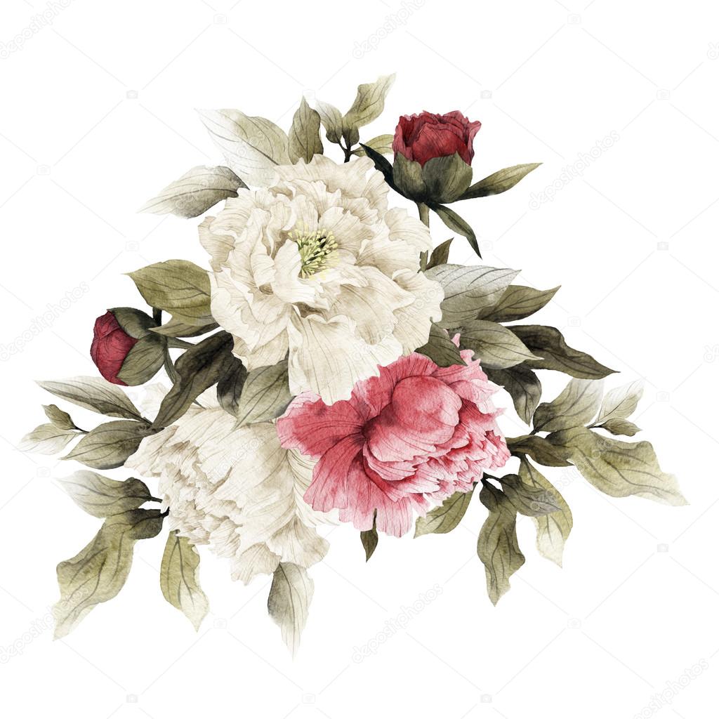 Watercolor Bouquet of peonies,