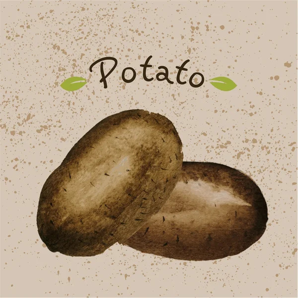 Handgezogene Kartoffel — Stockvektor