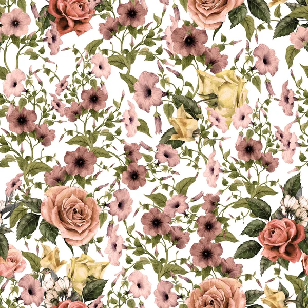 Convolvo aquarela e padrão de rosas — Fotografia de Stock