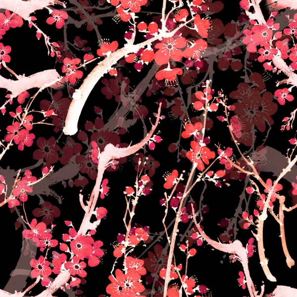 盛开的樱花花卉图案 — 图库照片