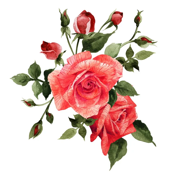 Aquarell Strauß Rosen — Stockfoto