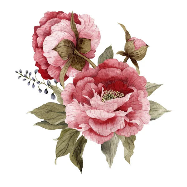 Bouquet of watercolor peonies — Stock Photo, Image