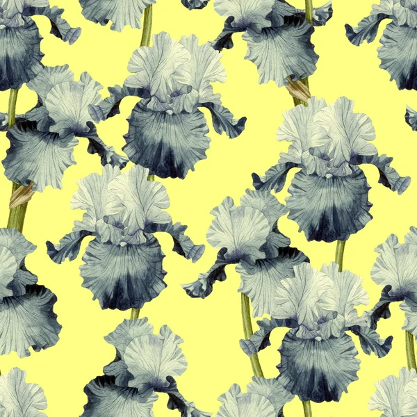 Vzorek s květy, akvarel iris — Stock fotografie