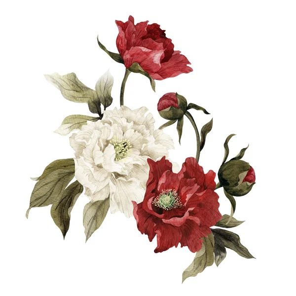 Acquerello Bouquet di peonie , — Foto Stock