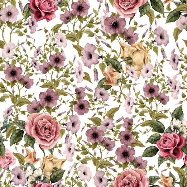 Watercolor convolvulus and roses pattern — Stock Photo, Image