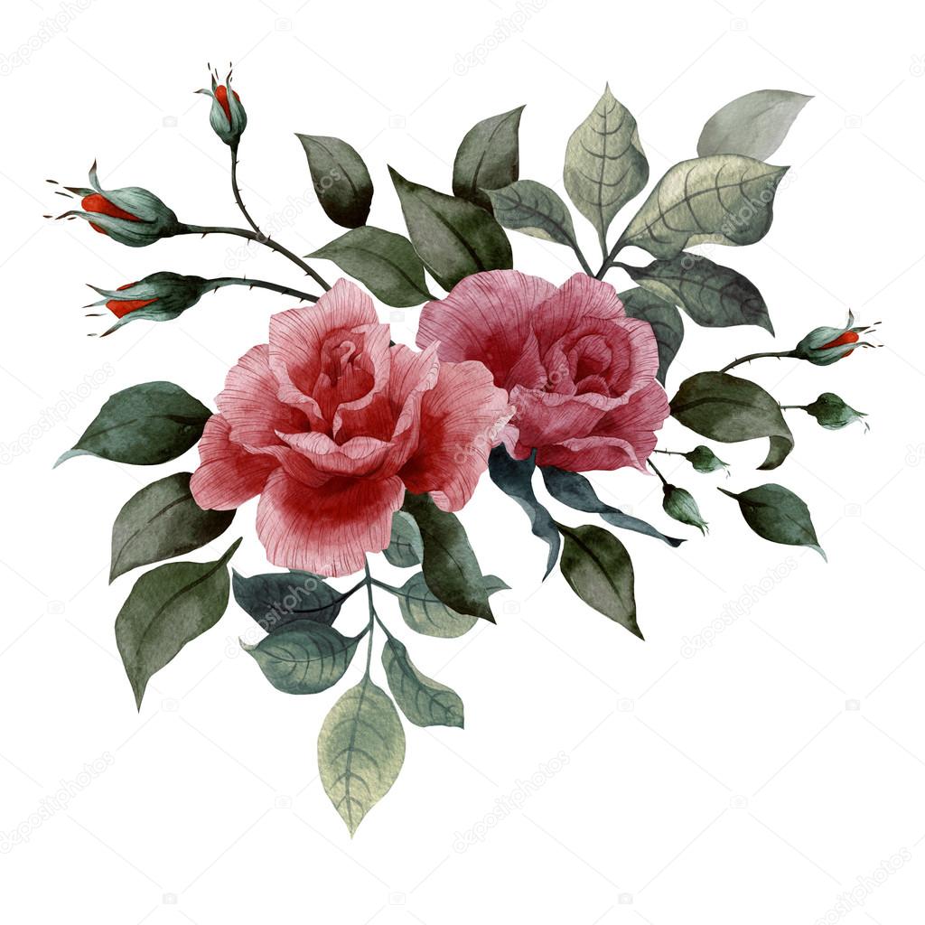 Watercolor roses Bouquet