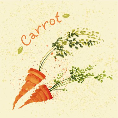 Suluboya havuç el çekilmiş