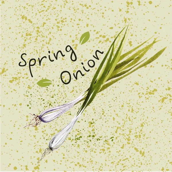 Oignon de printemps aquarelle — Image vectorielle