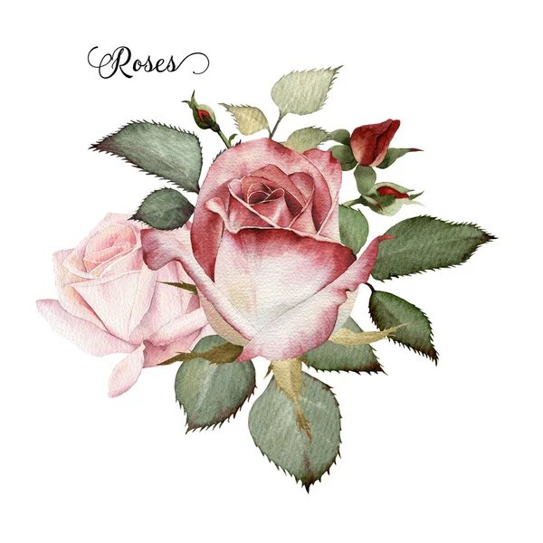 Ramo de rosas, acuarela, se puede utilizar como tarjeta de felicitación, invi — Foto de Stock