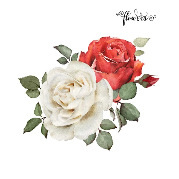 Букет з троянд, акварелі, може використовуватися як вітальна листівка, недоторканність — стокове фото
