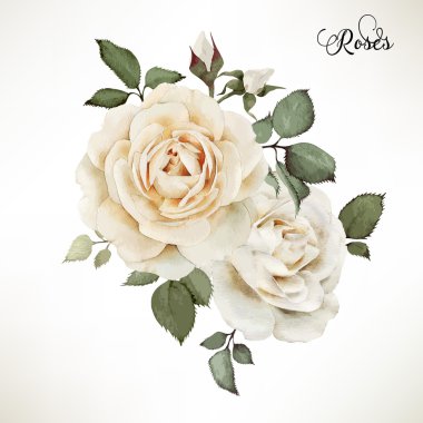Bouquet of roses, watercolor, can be used as greeting card, invi