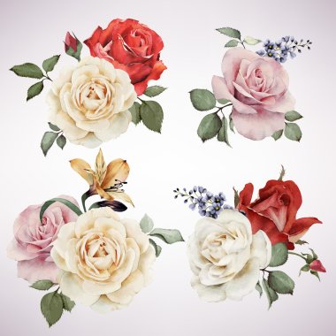 Set of vector bouquets of roses, watercolor, can be used as gree
