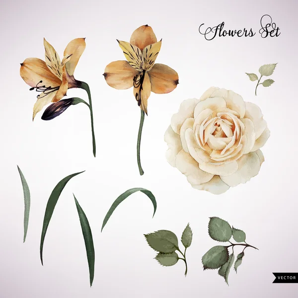 Flowers and leaves, watercolor, can be used as greeting card, in