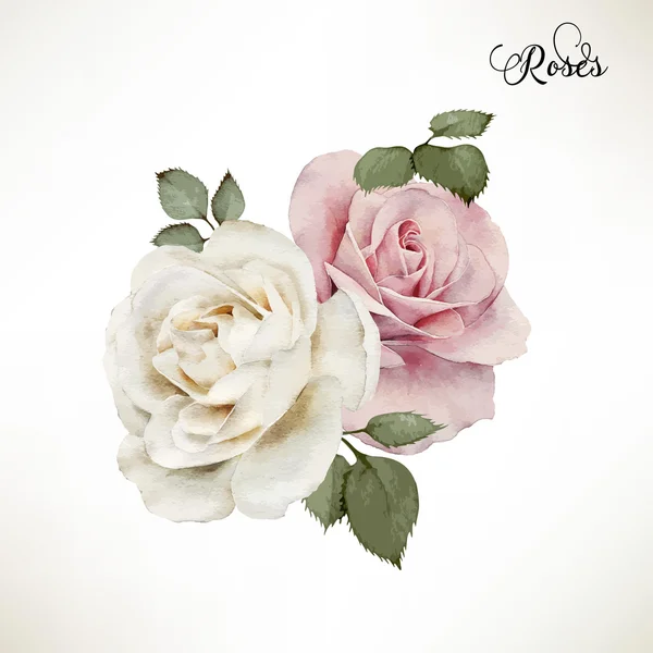 Bouquet of roses, watercolor, can be used as greeting card, invi