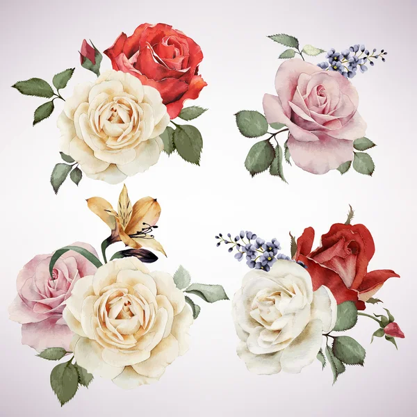 Set of vector bouquets of roses, watercolor, can be used as gree — Stockový vektor