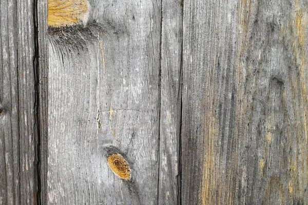 Sarı Kesim Dalları Olan Sarı Gri Tahta Bir Duvar Arka — Stok fotoğraf