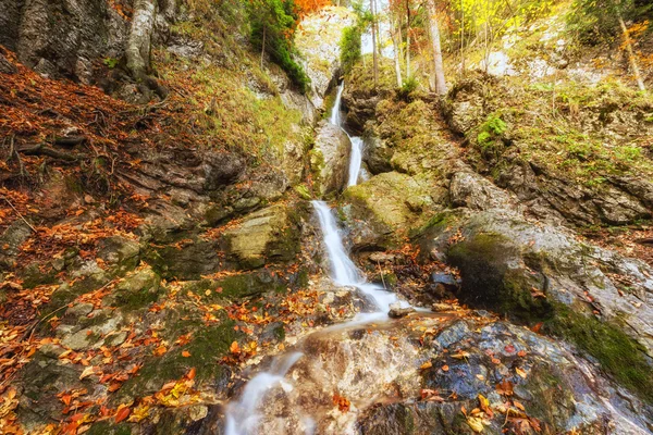 Wild autumn mountain forest with waterfall, nature colorful background — Stock Photo, Image