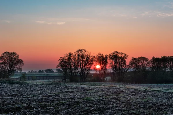 Mezőgazdasági sunrise táj — Stock Fotó