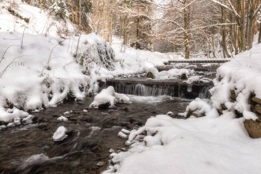 Dağ deresi ve karla kaplı kış ormanlarındaki ağaçlar, doğal seyahat arka planı, Karpatya dağları...