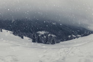 Dramatik kış manzarası, kar yağışı sırasındaki Synevyr dağ geçidinin muhteşem panoramik manzarası, bulutlu gri gökyüzü ve kar taneleri. Doğa yolculuğu geçmişi, Karpatlar, Zakarpattia