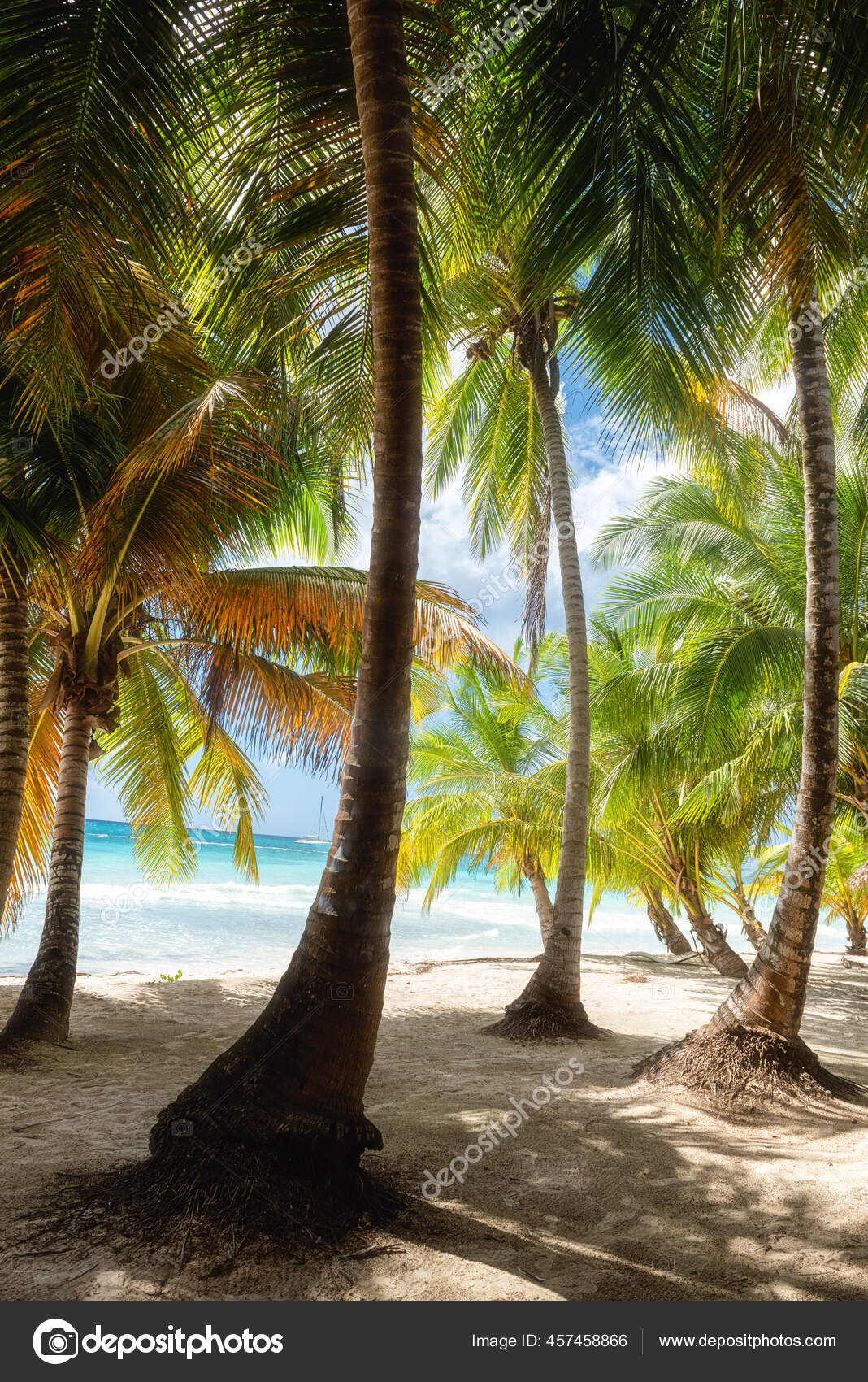 Praia Incrível Paraíso Tropical Com Areia Branca Coqueiros Mar Céu — Foto ©  lugrin #457458866, image size:1068x1700