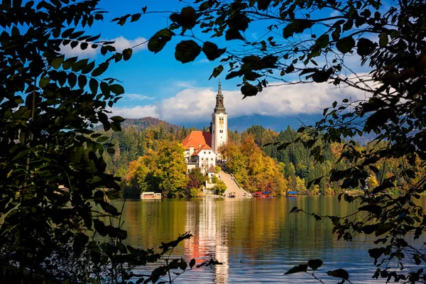 斯洛文尼亚著名的高山漂白湖 Blejsko Jezero 令人叹为观止的秋季风景 湖景尽收眼底 岛上有教堂 蓝天有云彩 水中有倒影 户外旅行背景 — 图库照片