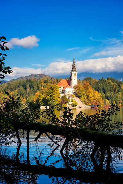 斯洛文尼亚著名的高山漂白湖 Blejsko Jezero 令人叹为观止的秋季风景 湖景尽收眼底 岛上有教堂 蓝天有云彩 水中有倒影 户外旅行背景 — 图库照片