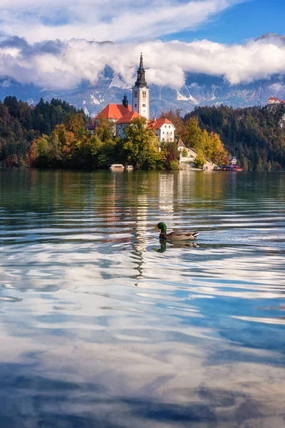 斯洛文尼亚著名的高山漂白湖 Blejsko Jezero 令人叹为观止的秋季风景 湖景尽收眼底 岛上教堂林立 城堡林立 高山蓝天云彩 户外旅行背景 — 图库照片