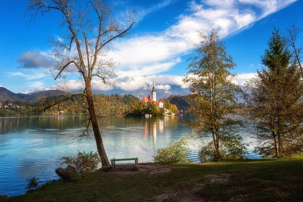 Kuuluisa Alppivuotava Järvi Blejsko Jezero Sloveniassa Hämmästyttävä Syksyllä Maisema Scenic — kuvapankkivalokuva