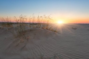 Günbatımında çölün kum tepeleri, manzara manzarası, Oleshky Sands doğa parkı (Oleshkivski pisky), Avrupa 'nın en büyük ikinci çölü, Kherson oblast, Ukrayna, dış seyahat arka planı