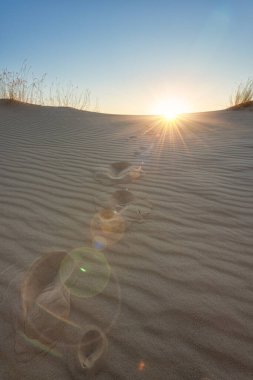 Günbatımında çölün kum tepeleri, manzara manzarası, Oleshky Sands doğa parkı (Oleshkivski pisky), Avrupa 'nın en büyük ikinci çölü, Kherson oblast, Ukrayna, dış seyahat arka planı