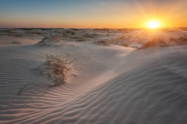 Günbatımında çölün kum tepeleri, manzara manzarası, Oleshky Sands doğa parkı (Oleshkivski pisky), Avrupa 'nın en büyük ikinci çölü, Kherson oblast, Ukrayna, dış seyahat arka planı