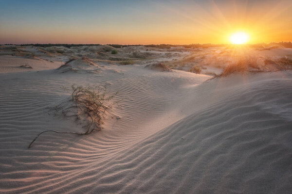 Песчаные дюны пустыни на закате, живописный пейзаж, природный парк "Олешки пески" (Олешковский писки), вторая по величине пустыня в Европе, Херсонская область, Украина, открытый туристский фон