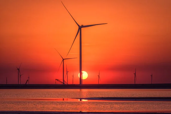 Parc Éolien Lac Salé Syvash Coucher Soleil Paysage Industriel Pittoresque — Photo