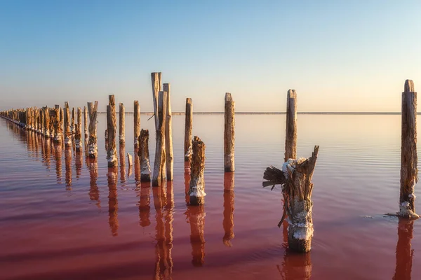 염도가 호수의 분홍빛 물에서 소금을 추출하기 나무를 베틀어 반사되는 놀라운 — 스톡 사진
