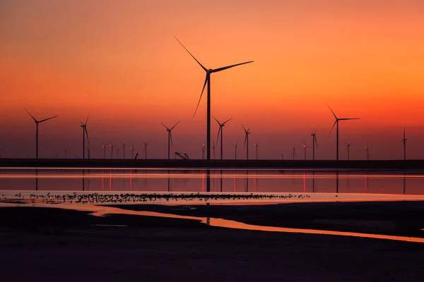 乌克兰赫尔松州 风电场和黄昏时咸咸的锡瓦什湖 夕阳西下的风景秀丽的工业景观 风力涡轮机 天空和水中的倒影 — 图库照片