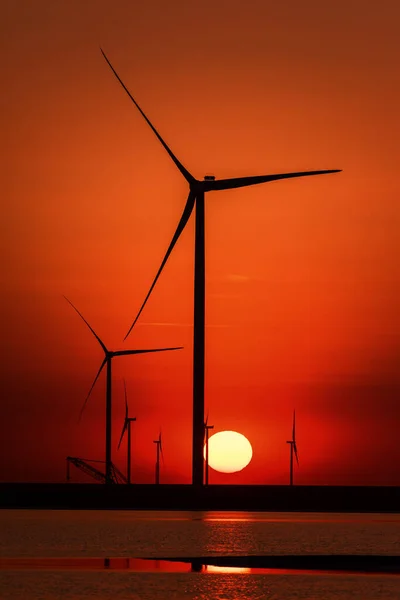 黄昏时的风电场和咸咸的锡瓦什湖 黄昏时的风景秀丽的工业景观 有风力涡轮机 阳光和水中的倒影 乌克兰赫尔松州 垂直图像 — 图库照片