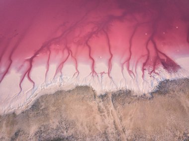 Amazing natural abstract background, bizarre forms of pink water and white salt formations. Aerial view of the surface of Syvash lake shore, Ukraine
