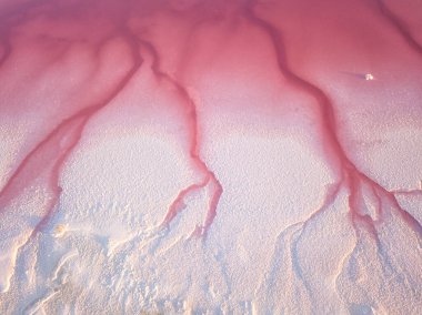 Amazing natural abstract background, bizarre forms of pink water and white salt formations. Aerial view of the surface of Syvash lake shore, Ukraine