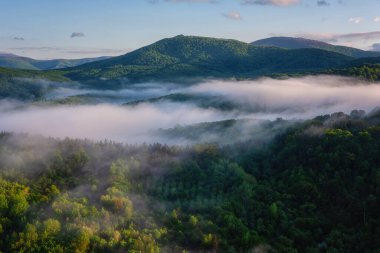 Şaşırtıcı doğa manzarası, sisli Karpat dağlarının manzarası ve bulutlu mavi gökyüzü, dış seyahat arka planı.