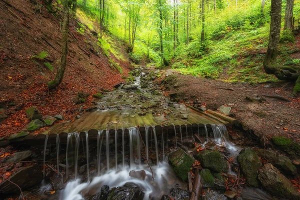 Amazing Nature Landscape Mountain Creek Green Summer Forest Fresh Greenery — Stock Photo, Image