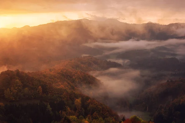 Malowniczy Widok Zalesione Góry Alp Wschodzie Słońca Niesamowity Jesienny Krajobraz — Zdjęcie stockowe