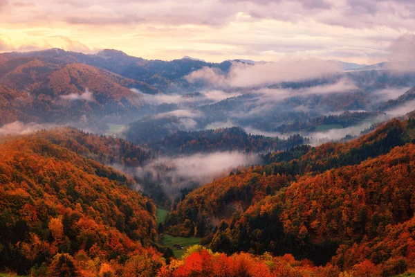 日の出の森のアルプスの山々の景色 山の尾根と素晴らしい秋の風景 カラフルな木々 朝の霧と曇りの空 ジャムニク スロベニア アウトドア旅行の背景 — ストック写真