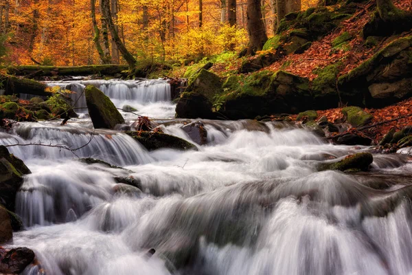 Amazing Nature Landscape Colored Autumn Forest Mountain Creek Outdoor Travel — Stock Photo, Image