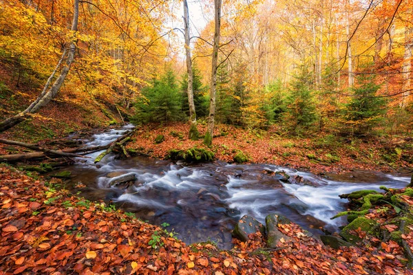 Amazing Nature Landscape Colored Autumn Forest Mountain Creek Outdoor Travel — Stock Photo, Image