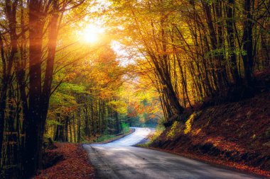 Koyu sonbahar ormanında Dar sarma yolu, renkli ağaçlar ve güneş, doğal seyahat arka planı, Karpat Dağları ile güzel manzara