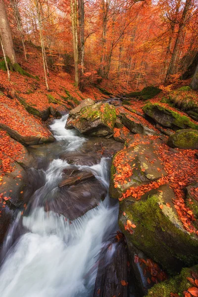 カラフルな秋の森の中の山の小川や奇妙な石と素晴らしい自然景観 カルパチア山脈 Lumshory ザカルパティアに適した自然の屋外旅行の背景 — ストック写真