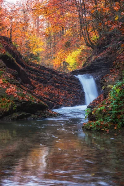暗いカラフルな秋の森の中の山の滝と素晴らしい自然景観 壁紙に適した自然の屋外旅行の背景 カルパチア山脈 Lumshory ザカルパティア — ストック写真